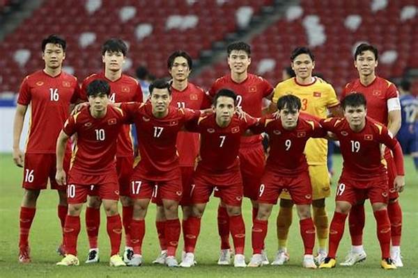 tim-nasional-sepak-bola-vietnam_e9b2ba35c.jpg